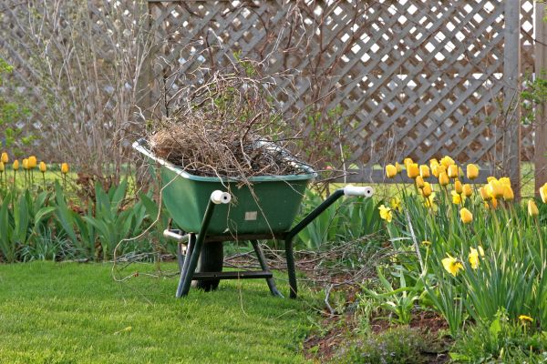 Flower Bed Cleanup Service in Nashua