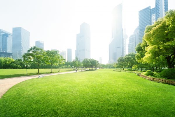 Commercial Landscape Maintenance in Nashua