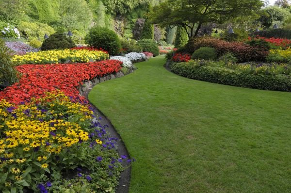 Landscaping Maintenance in Nashua