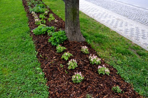 Mulch Replacement Service in Nashua