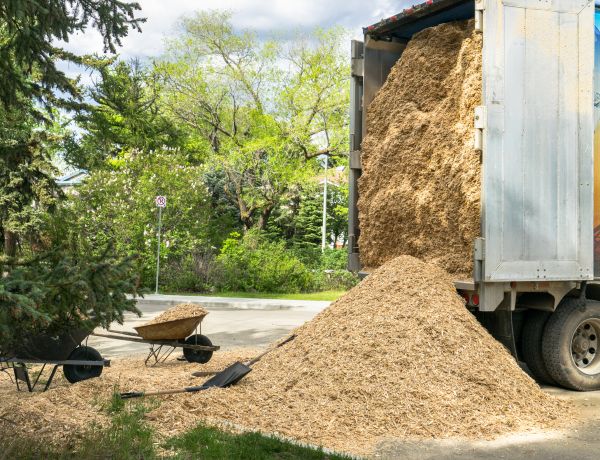Wood Chips Delivery in Nashua