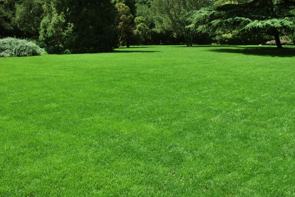 Lawn Landscaping in Nashua