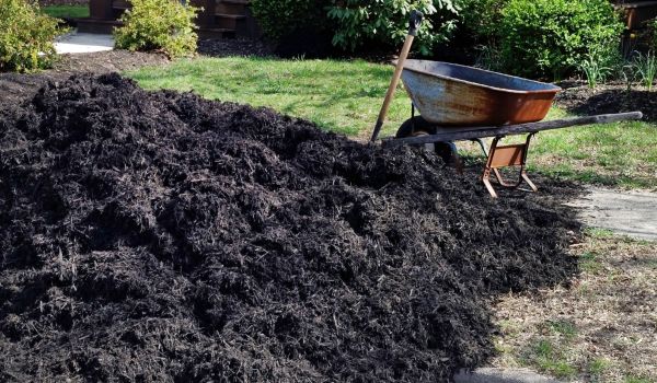 Black Mulch Delivery in Nashua