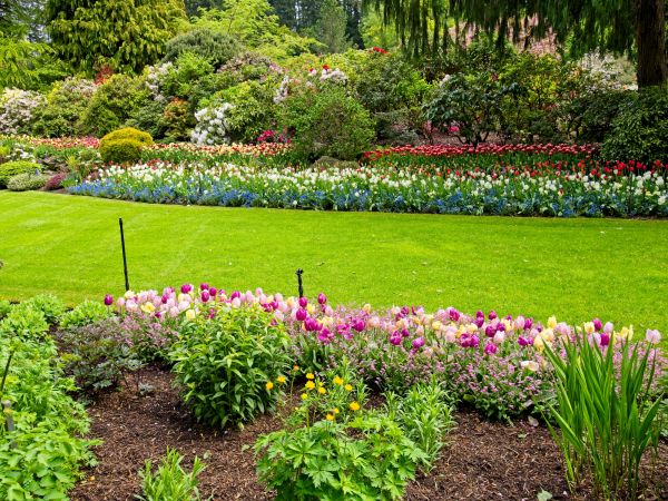 Residential Landscape Design in Nashua