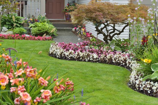 Perennial Landscaping in Nashua