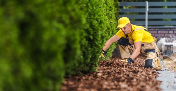 Cypress Mulch Installation in Nashua