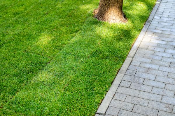 Border Stone Installation in Nashua