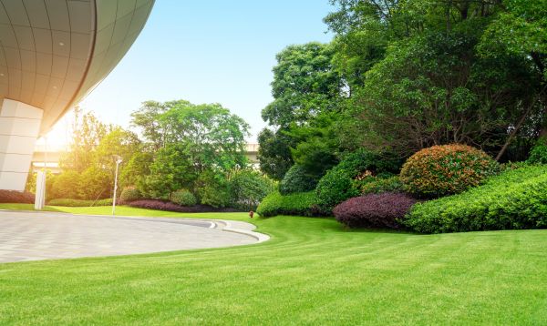 Business Landscape Design in Nashua