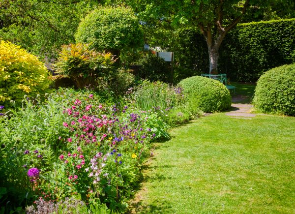 Yard Landscaping Service in Nashua