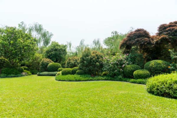 Tree Landscaping in Nashua