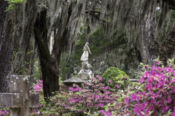 Cemetery Landscaping in Nashua