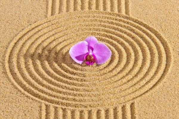 Sand Garden Landscaping in Nashua