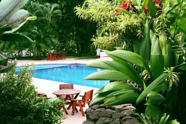 Pool Area Landscaping in Nashua