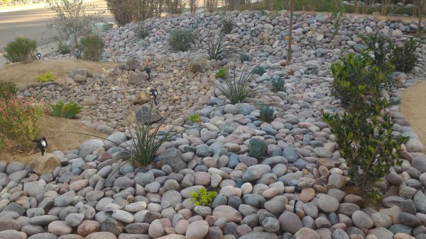 Yard Xeriscaping in Nashua