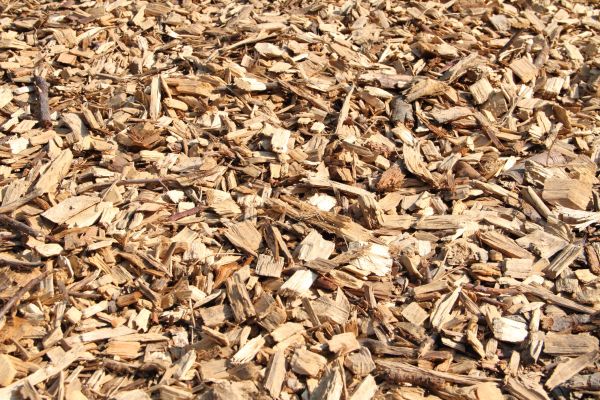 Wood Mulch Delivery in Nashua
