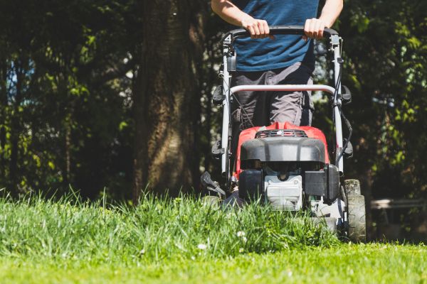 Garden Trimming Service in Nashua