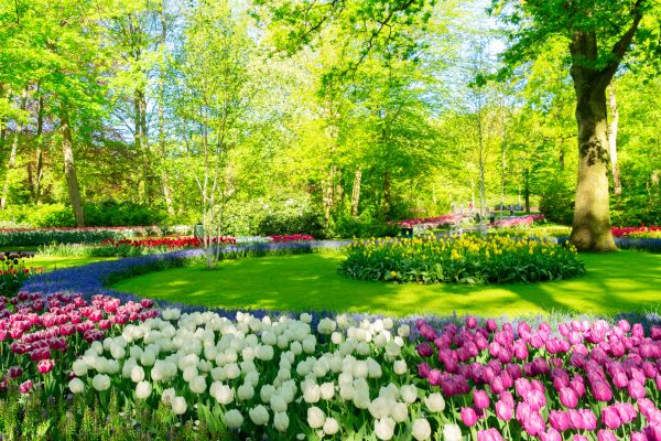 Flower Landscaping in Nashua