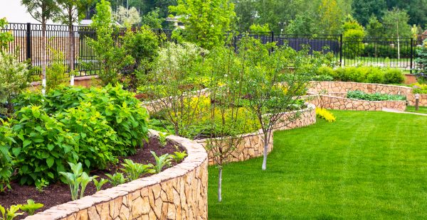 Yard Makeover Service in Nashua