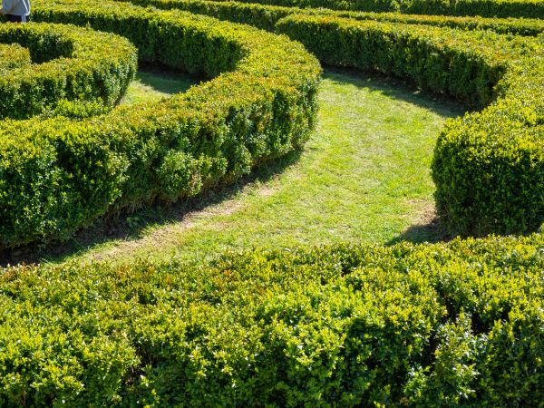 Bush Landscaping in Nashua