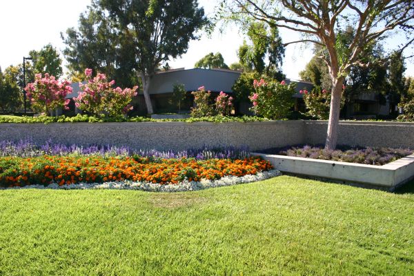 Commercial Landscape Service in Nashua