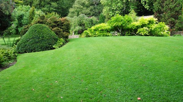 Commercial Landscape Design in Nashua