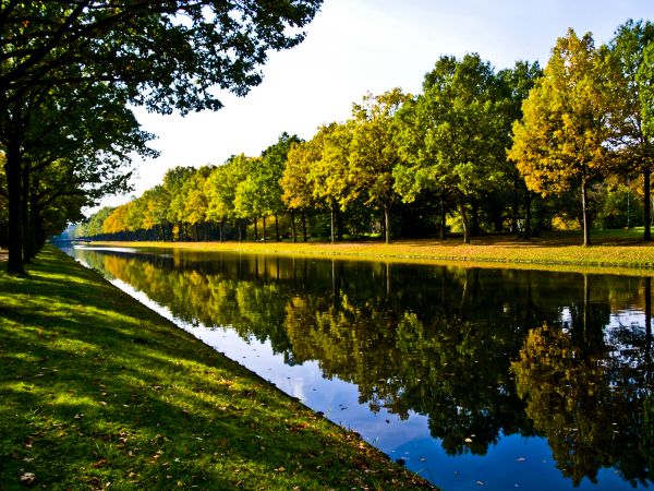 Bank Landscaping in Nashua