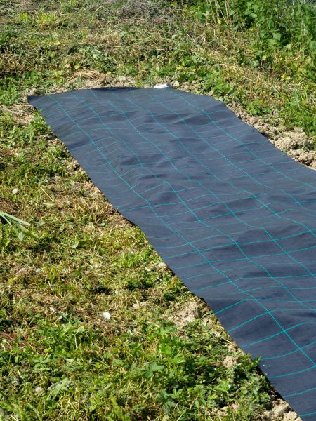 Weed Suppressant Installation in Nashua