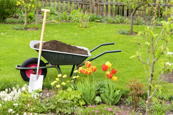 Spring Yard Renovation in Nashua