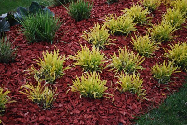 Red Mulch Installation in Nashua