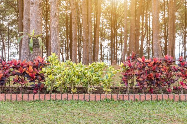 Small Garden Landscaping in Nashua
