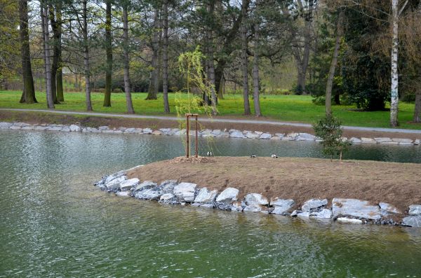 Pond Landscaping Service in Nashua