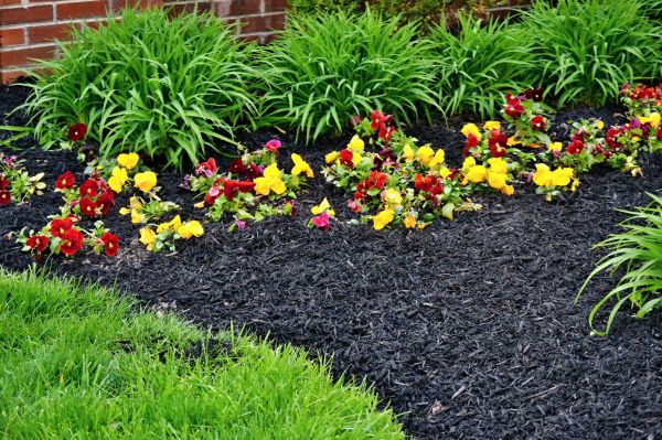 Apartment Mulching in Nashua