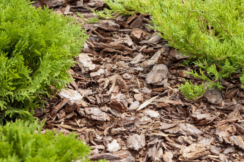 Cypress Mulch Delivery