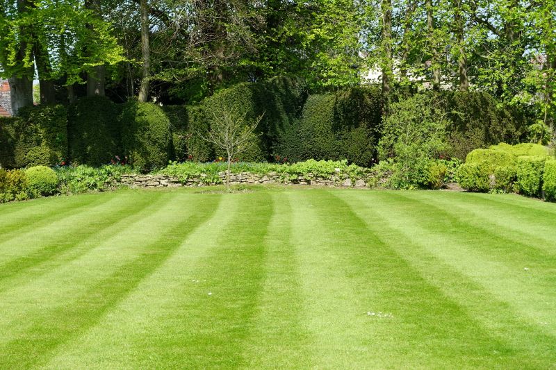 Lawn and Shrub Borders
